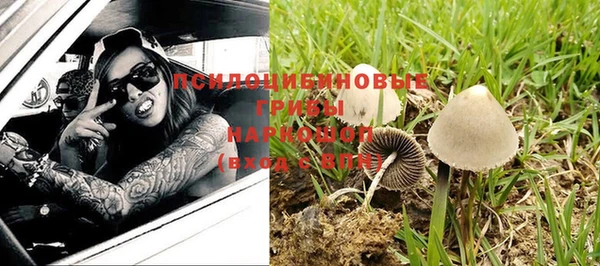 ALPHA-PVP Пролетарск