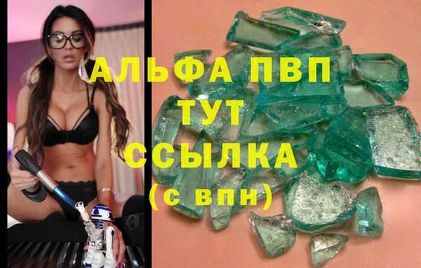 стаф Приозерск