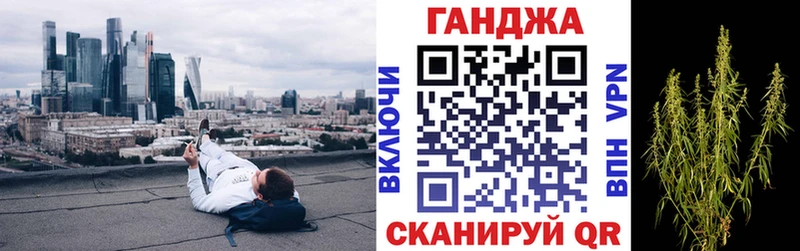 Бошки Шишки план  Славгород 